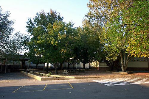 High School Playgrounds