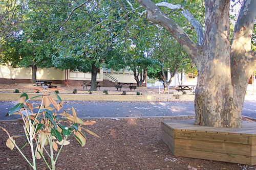 Primary School Playgrounds